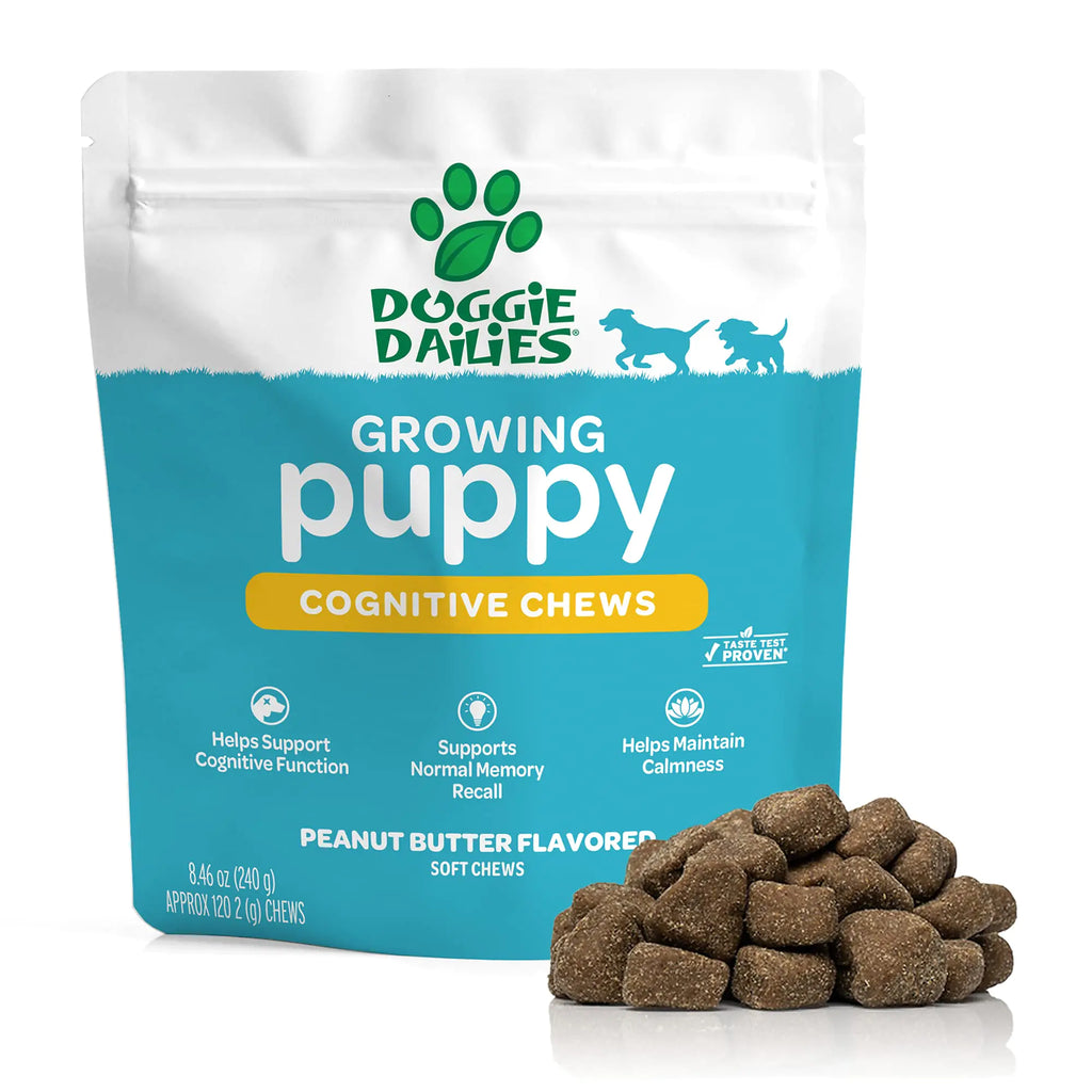 Doggie Dailies Cognitive Puppy Chews | Puppy Vitamins with DHA Selenium Organic Ashwagandha & Antioxidants to Support Brain Health Nervous System Function & Promote Calmness | 120 Soft Chews