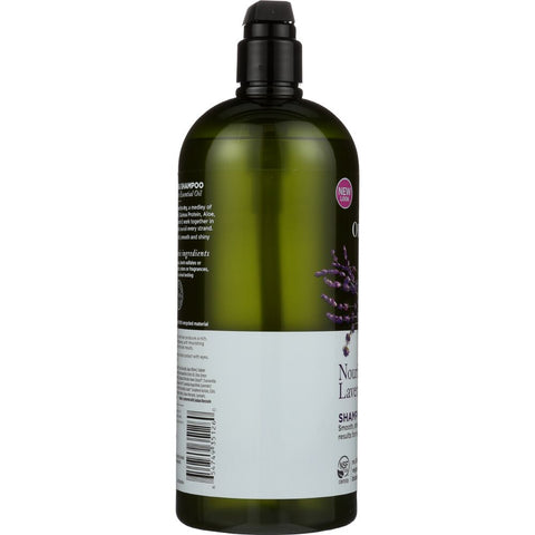 AVALON ORGANICS: Shampoo Nourishing Lavender, 32 oz
