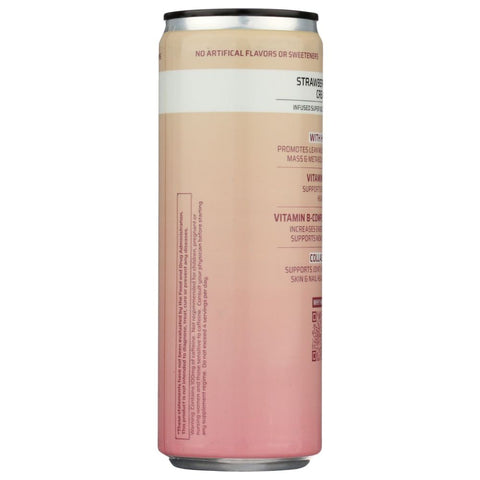 TRADITIONAL MEDICINALS: Tea Red Clover Organic, 1.13 oz